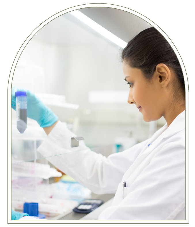 Vass Medical Érd laboratórium vérvétel